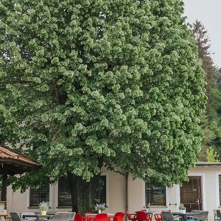 Sumpfmuhle Hetzdorf