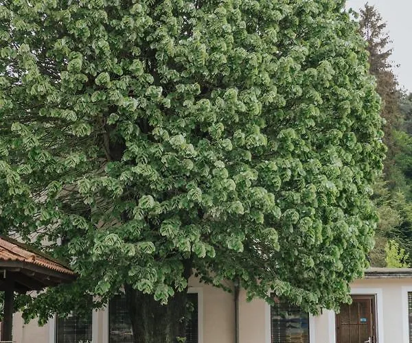 Sumpfmuhle Hetzdorf